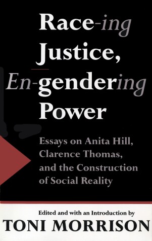 Book cover for Race-ing Justice, En-gendering Power