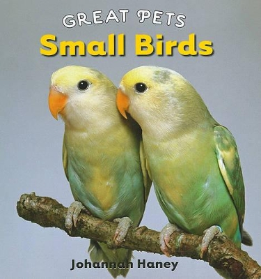 Book cover for Small Birds