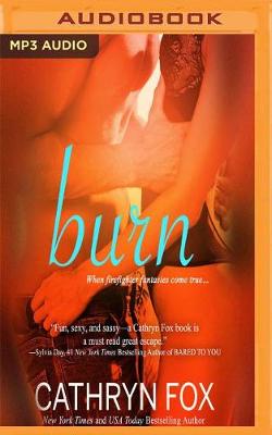 Book cover for Burn