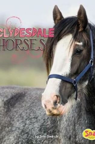 Cover of Clydesdale Horses