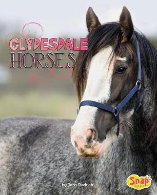 Book cover for Clydesdale Horses