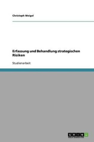 Cover of Erfassung und Behandlung strategischen Risiken