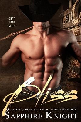 Book cover for 2 Times the Bliss