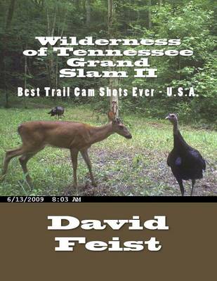 Book cover for Wilderness of Tennessee Grand Slam II