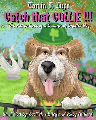 Book cover for Catch That Collie