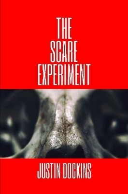 Book cover for The Scare Experiment