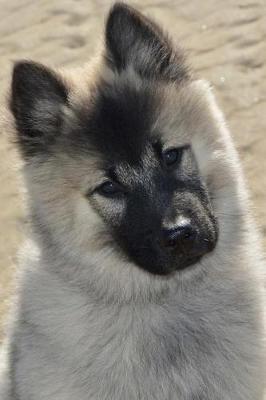 Book cover for Curious Eurasier Pup Dog Journal