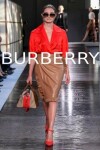 Book cover for Burberry
