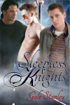 Book cover for Sleepless Knights