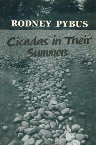 Cover of Cicadas in Their Summers