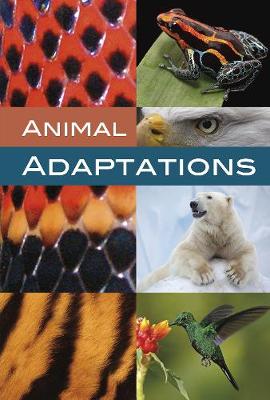 Book cover for Animal Adaptations
