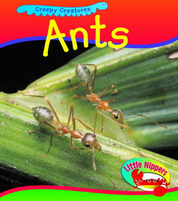 Book cover for LN Creepy Creatures Ant