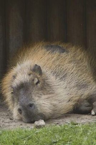 Cover of The Capybara on a Lazy Afternoon - Nap Time Journal