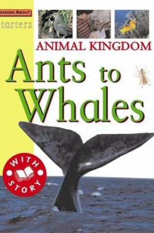 Cover of Starters: Animal Kingdom-Ants To Whale
