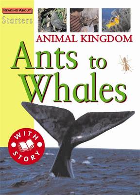 Cover of Starters: Animal Kingdom-Ants To Whale