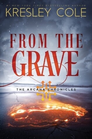 Cover of From The Grave