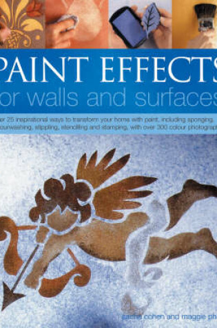 Cover of Paint Effects for Walls and Surfaces