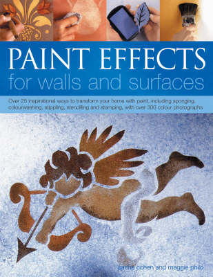 Book cover for Paint Effects for Walls and Surfaces