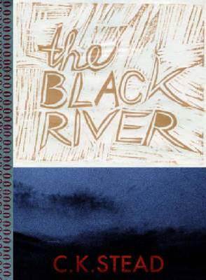 Book cover for The Black River