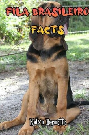 Cover of Fila Brasileiro Facts