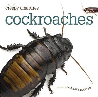 Cover of Cockroaches