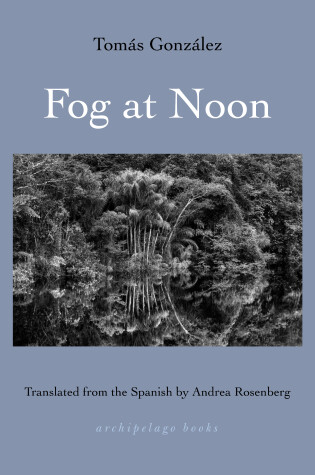 Cover of Fog at Noon