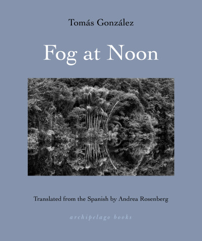 Book cover for Fog at Noon