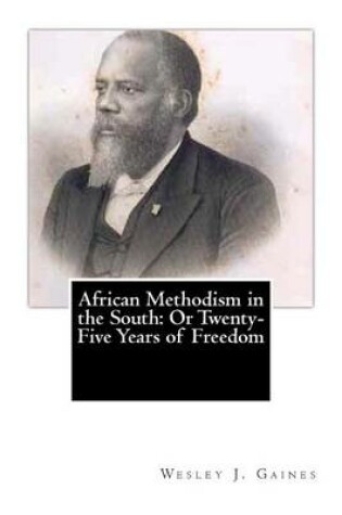 Cover of African Methodism in the South