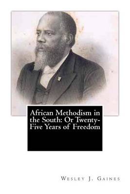 Book cover for African Methodism in the South