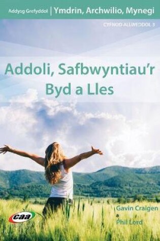 Cover of Ymdrin, Archwilio, Mynegi: Addoli, Safbwyntiau'r Byd a Lles