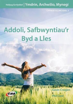 Book cover for Ymdrin, Archwilio, Mynegi: Addoli, Safbwyntiau'r Byd a Lles