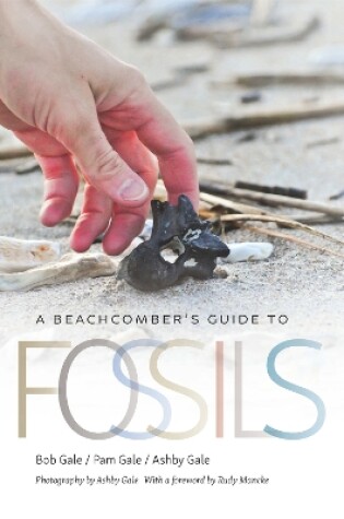 Cover of A Beachcomber's Guide to Fossils