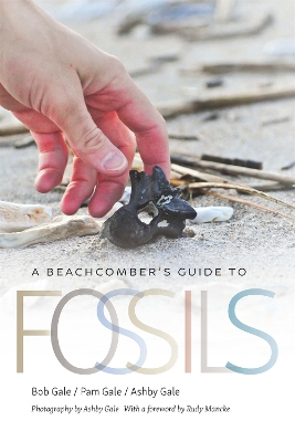 Book cover for A Beachcomber's Guide to Fossils