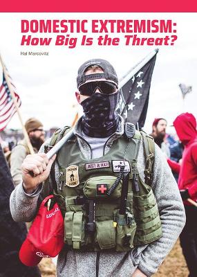 Book cover for Domestic Extremism: How Big Is the Threat?