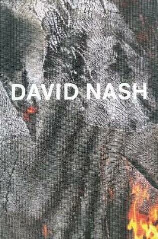 Cover of David Nash - Wood, Metal, Pigment