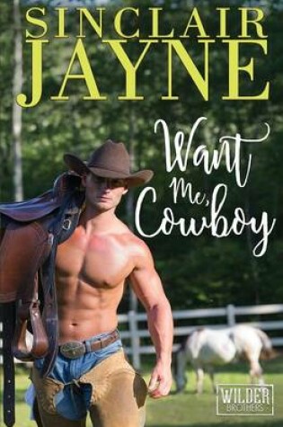 Cover of Want Me, Cowboy