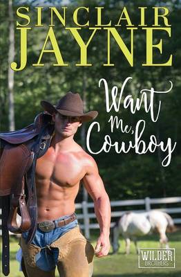 Book cover for Want Me, Cowboy