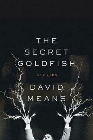 Cover of The Secret Goldfish