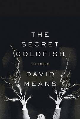 Book cover for The Secret Goldfish