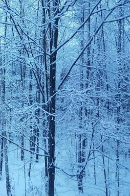 Cover of Winter Journal Snowy Morning Blue Hour