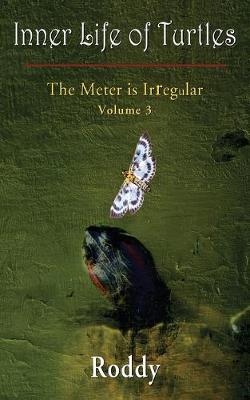 Book cover for The Meter is Irregular, Volume 3 - Inner Life of Turtles