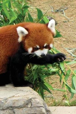 Cover of Red Panda Journal