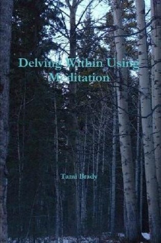 Cover of Delving Within Using Meditation