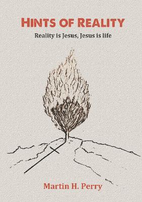 Book cover for Hints of Reality