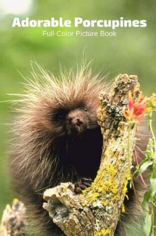 Cover of Adorable Porcupines Full-Color Picture Book