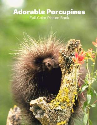 Book cover for Adorable Porcupines Full-Color Picture Book