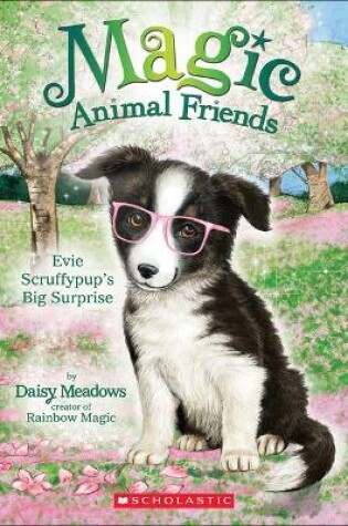 Cover of Evie Scruffypup's Surprise