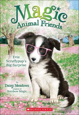 Cover of Evie Scruffypup's Surprise