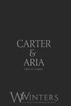 Book cover for Carter & Aria #1