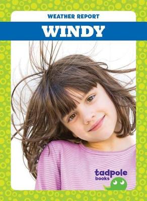 Book cover for Windy